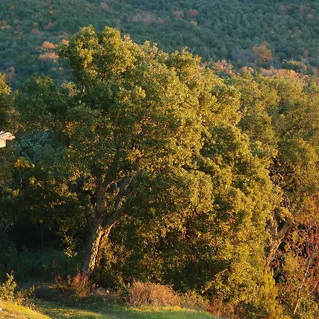 Casale Pundarika カントリーハウス