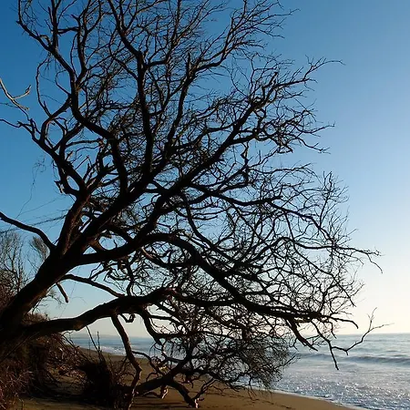 カントリーハウス Casale Pundarika